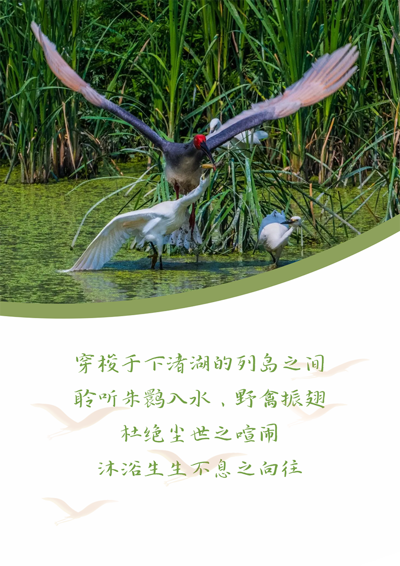 心心念廿 相伴开云 | 与德清相约 贺廿载诞辰